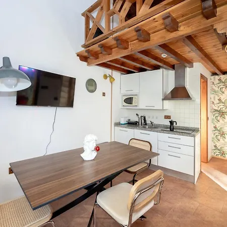 Apartamento - Pinksparrow - *